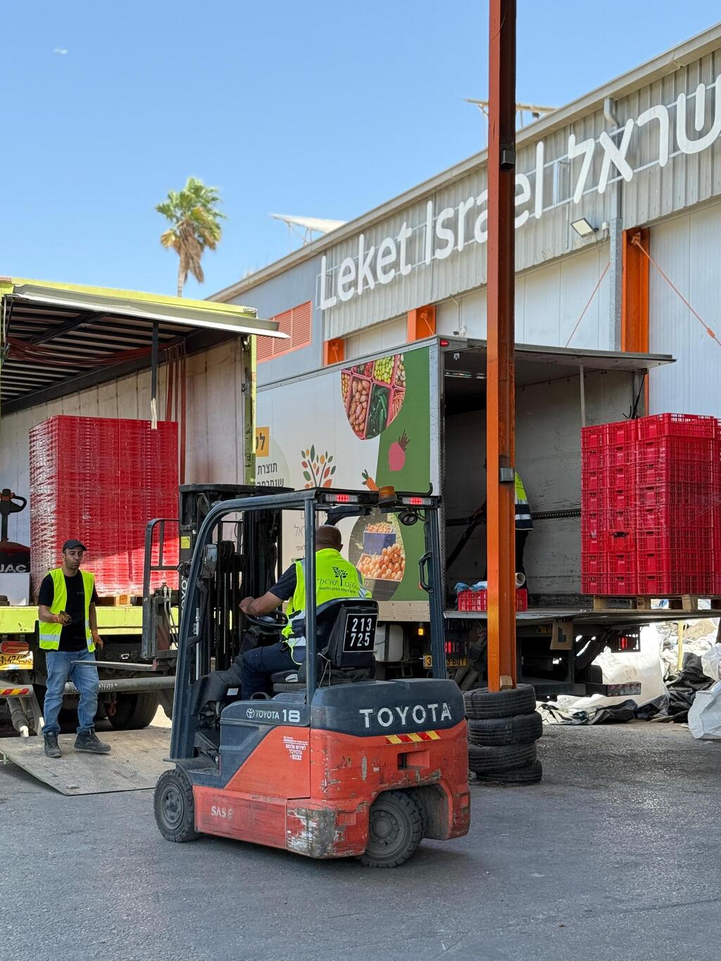 יותר מחמישית מההוצאה על מזון בתקופת החגים הולכת לאיבוד (צילום: לקט ישראל) לקט ישראל