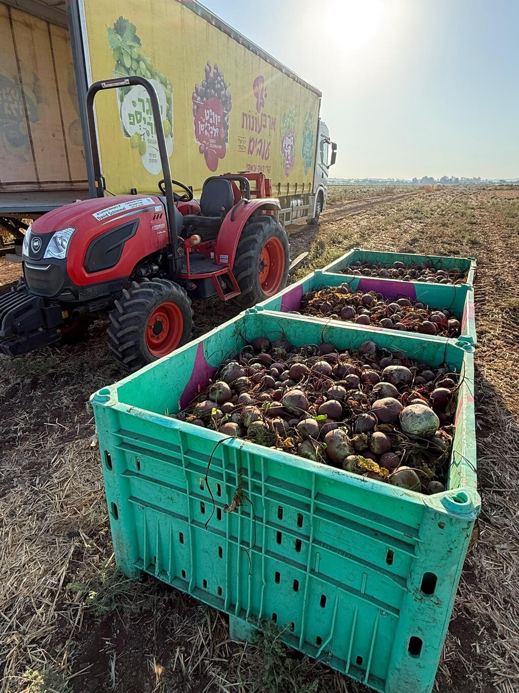 מזון בשווי 2.5 מיליארד שקל צפוי לרדת לטמיון בחגי תשרי (צילום: לקט ישראל) מזון בשווי 2.5 מיליארד שקל צפוי לרדת לטמיון בחגי תשרי