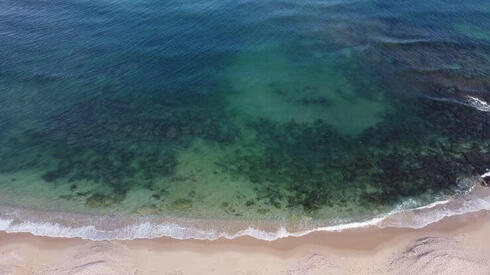 Algae near the desalination plant in Ashkelon 