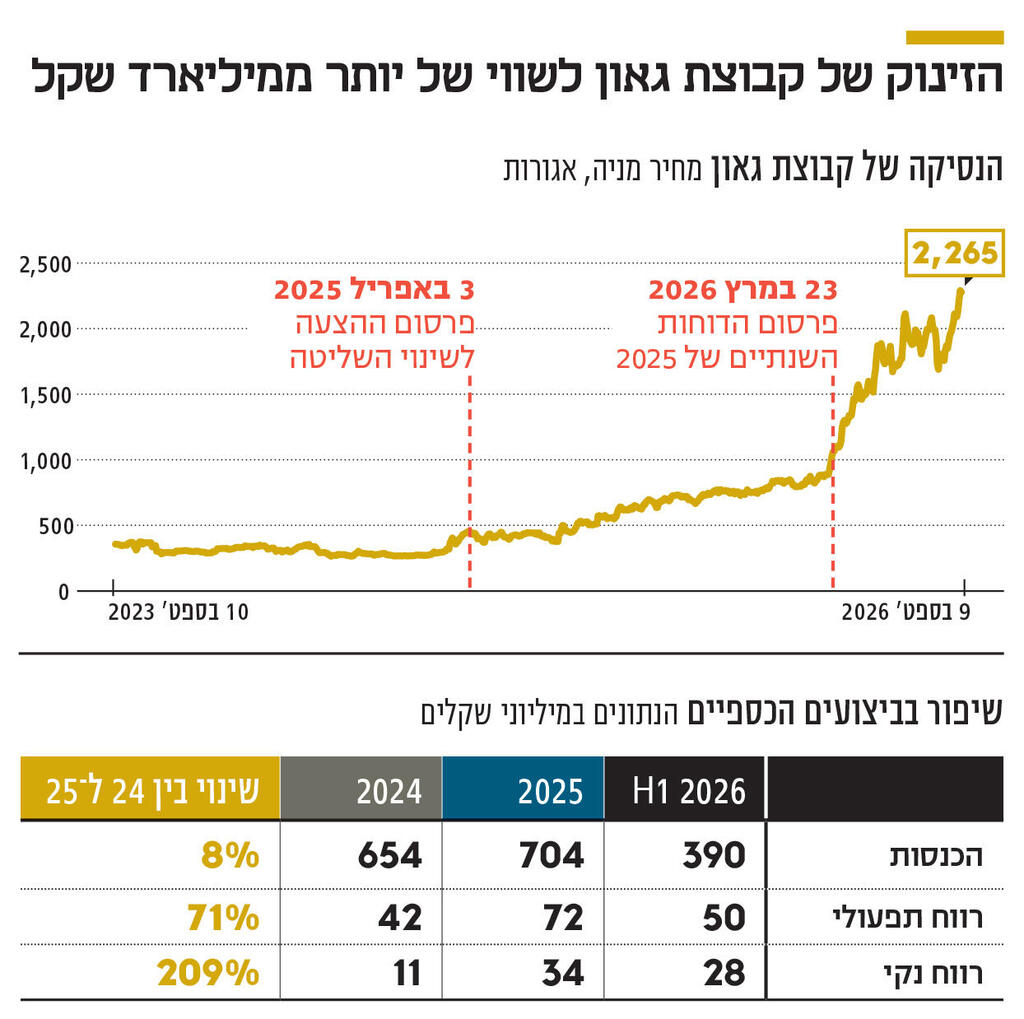 אינפו הזינוק של קבוצת גאון