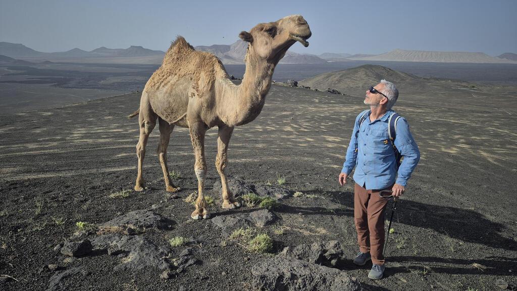 Aviad Sar-shalom and a camel at the mouth of the volcanic crater on the White Mountain (Jabal al-Bayda), east of Khaybar (Tzur Shezaf) אביעד שר שלום וגמל על פתח לוע הר הגעש בהר הלבן )ג’בל אל ביידא( ממזרח לחייבר.