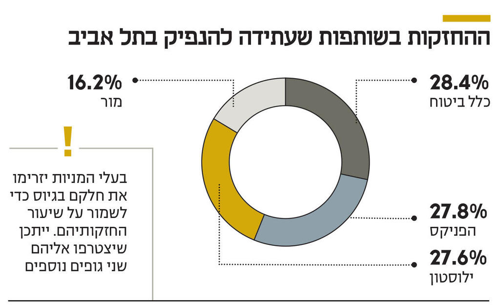 ההחזקות בשותפות שעתידה להנפיק בתל אביב אינפו ההחזקות בשותפות שעתידה להנפיק בתל אביב