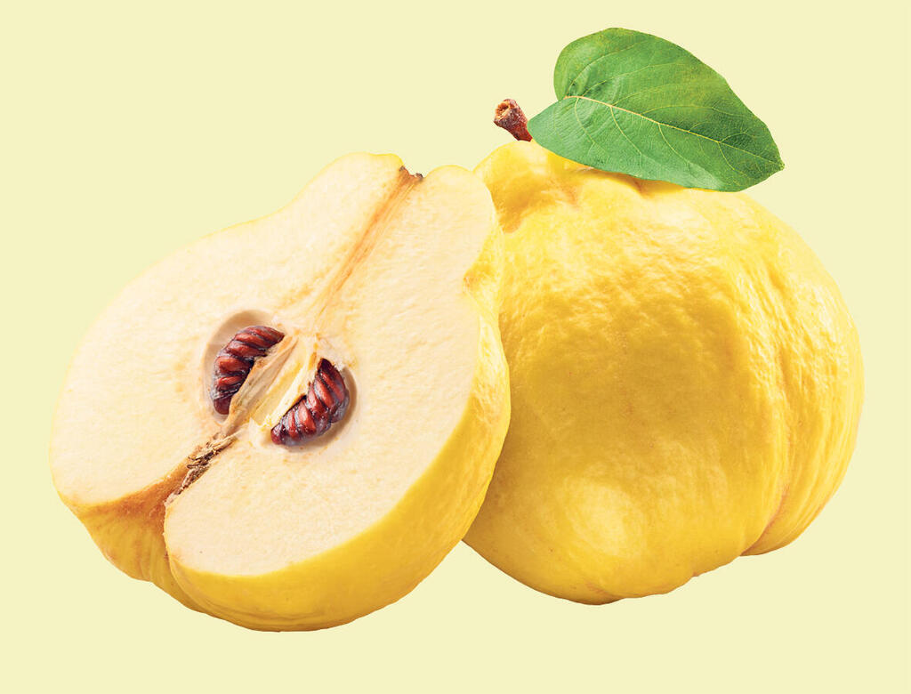 חבושים. עכשיו העונה (צילום: Shutterstock) פנאי חבושים