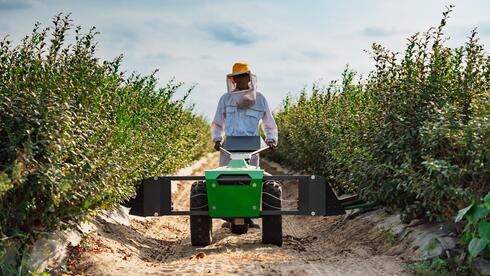 Israeli agtech startup BloomX raises $13 million Series A to improve crop...