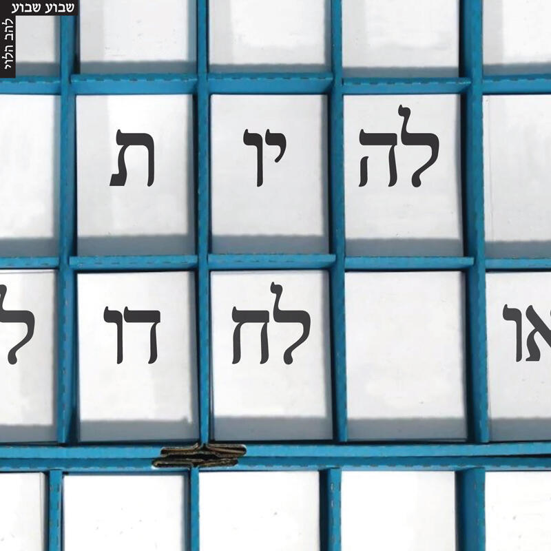 צילום: מוטי קמחי