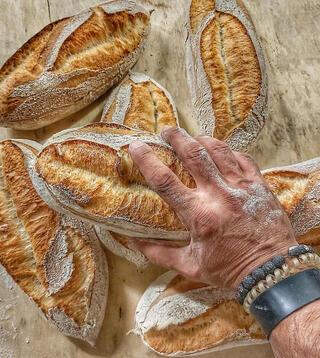 לחמים של אדון שיפון פנאי