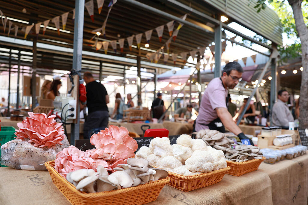 פטריות של “mushroom" (צילום: אוראל כהן) פטריות של mushroom פנאי