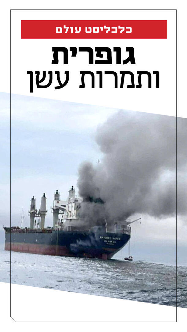 כלכליסט עולם גופרית ותמרות עשן ורטיקלי