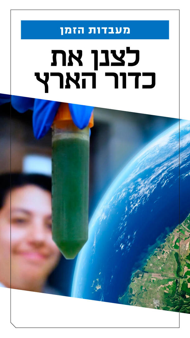 ארליך - קולינג קרופס ורטיקלי