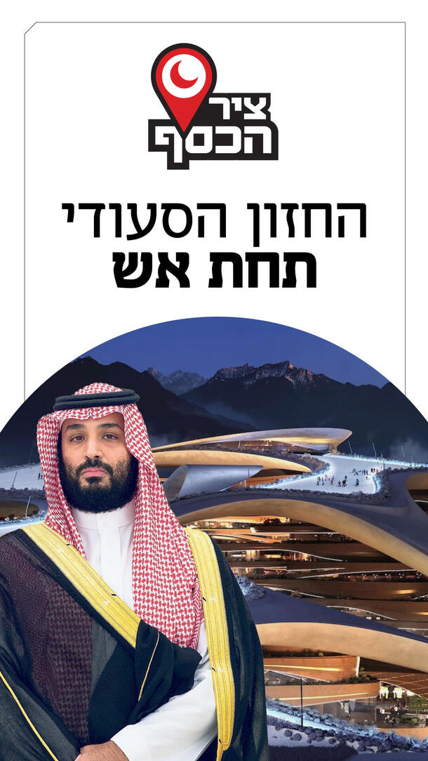 ציר הכסף - פרק 20 ורטיקלי