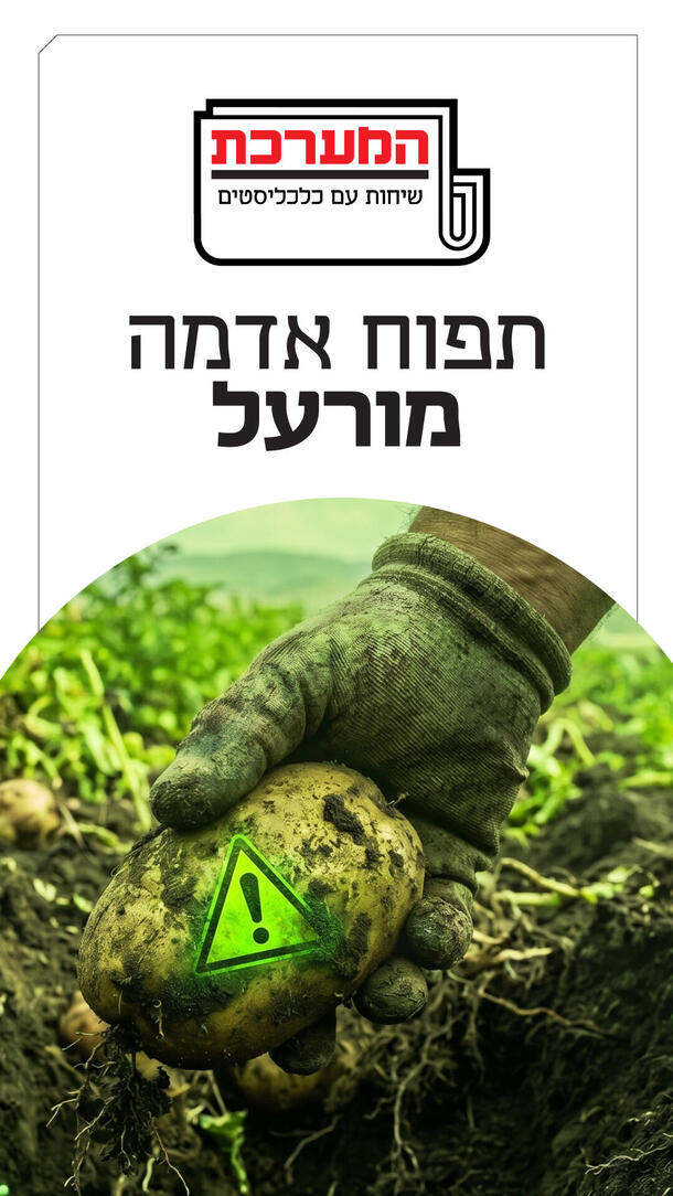 המערכת -  שני אשכנזי 14.06.26 ורטיקלי