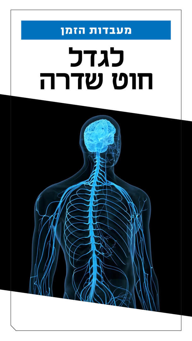 ארליך - נוראקסון ורטיקלי