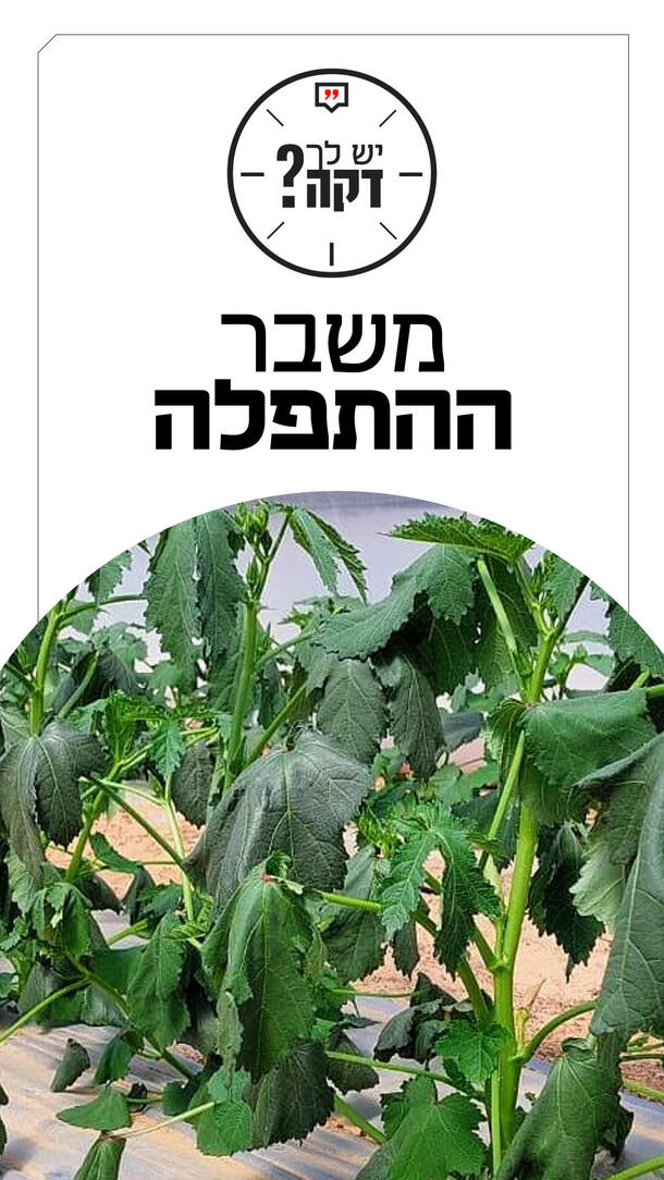 יש לך דקה שלום מאור סויסה 01.09.26