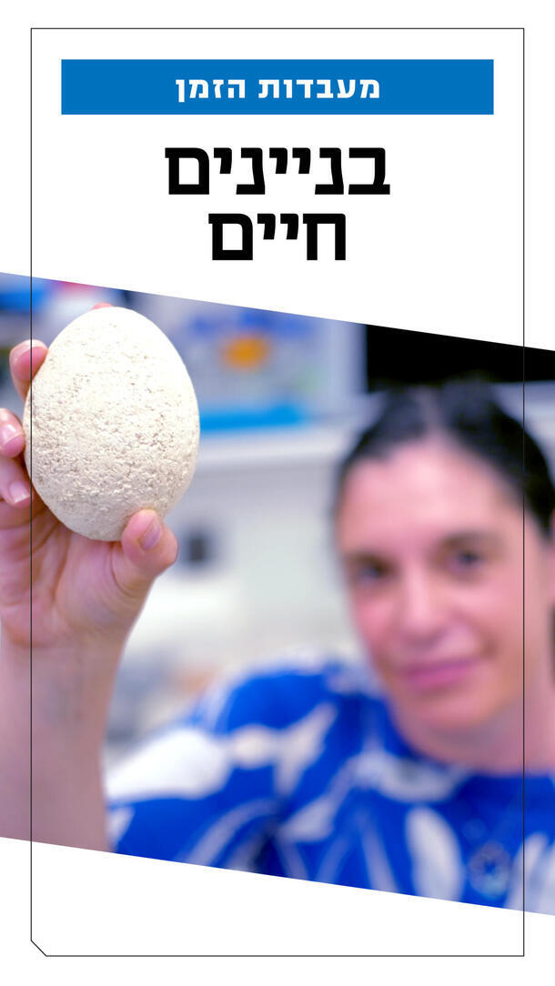 ארליך - המכון לביולוגיה סינטטית ורטיקלי