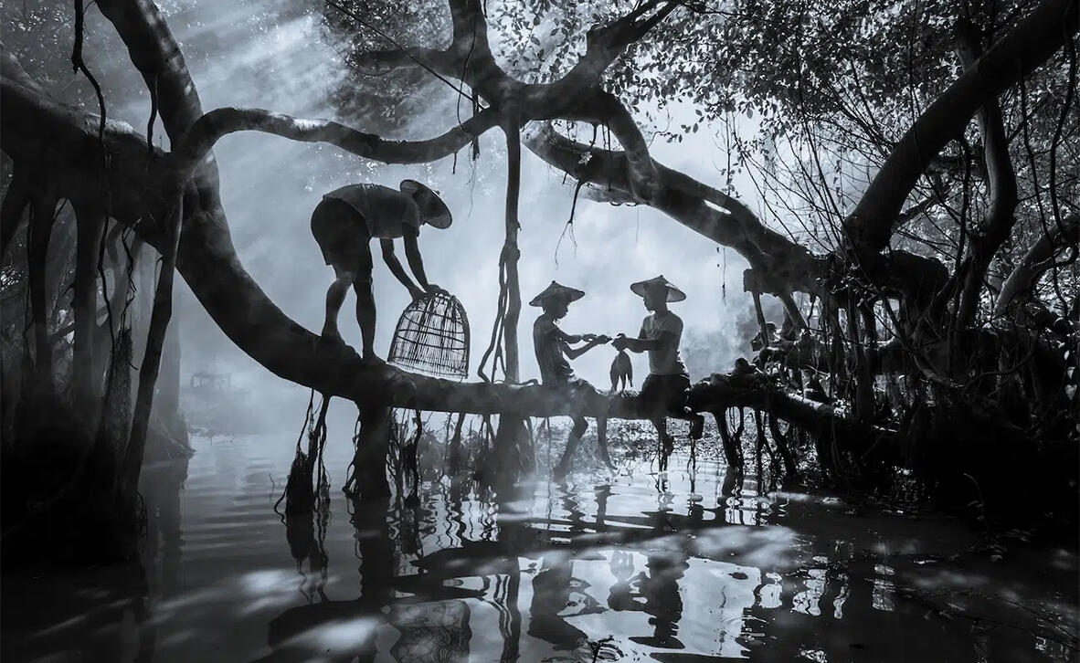 תפסו רגע: תמונות זוכות מתחרות צילומים של סוני